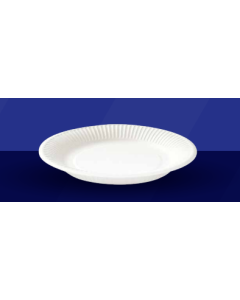 Disposable Paper Plate (23cm) Biodegradable Compostable Eco-Friendly